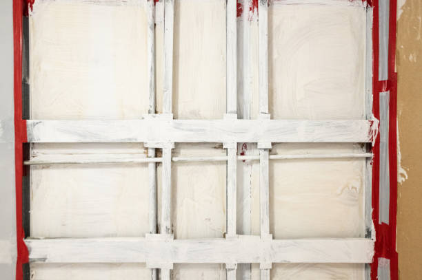 Best Emergency Mold Remediation  in Ipswich, SD
