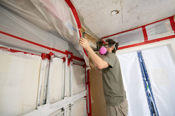  Ipswich, SD Mold Removal Pros