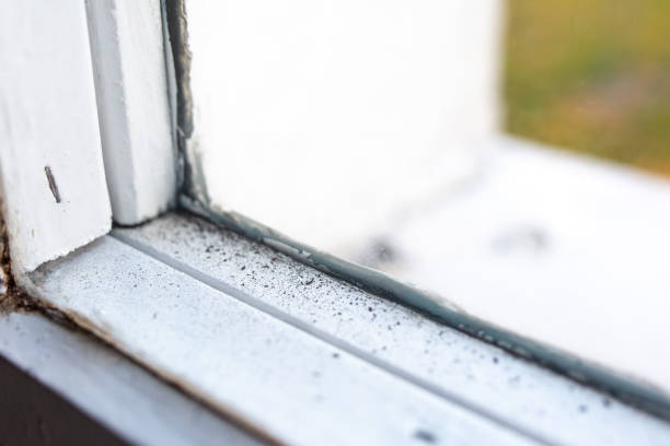 Ipswich, SD Mold Removal Company