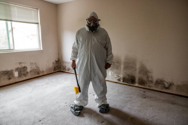 Best HVAC Mold Inspection and Cleaning  in Ipswich, SD